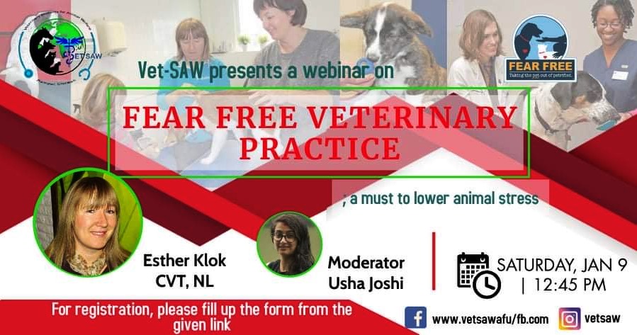 Webinars